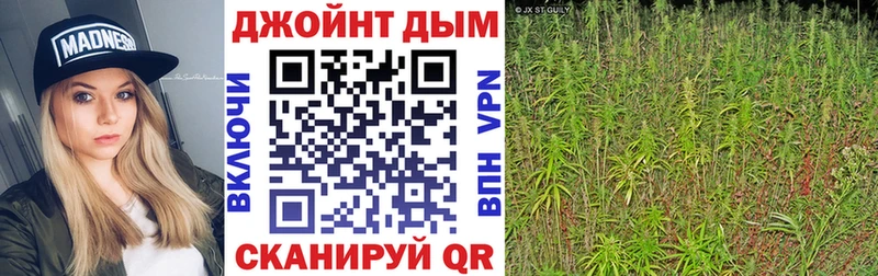 Купить закладки  Аша  Бошки марихуана THC 21% 